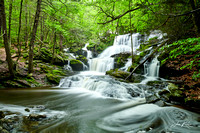 JIM_0950